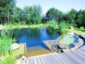 piscine-naturelle.jpg