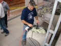 ACCCS_2010-09-18_144.jpg