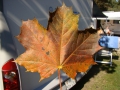 ACCCS_2010-09-19_169.jpg