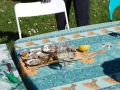 ACCCS_bugey2008-003.jpg