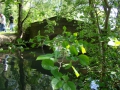 ACCCS_Landeron_103.jpg