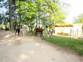 ACCCS_Landeron_192.jpg