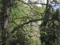 ACCCS_Oignin-007.jpg
