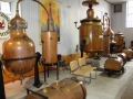ACCCS_Faramans2010032.jpg