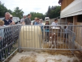 ACCCS_romainmotier2010-073.jpg
