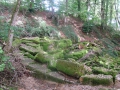 ACCCS_romainmotier2010-088.jpg