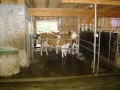 ACCCS_romainmotier2010-101.jpg