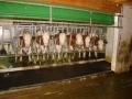 ACCCS_romainmotier2010-105.jpg