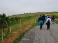 ACCCS_2010-10-09_003.jpg