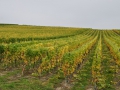 ACCCS_2010-10-09_004.jpg