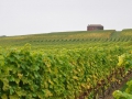 ACCCS_2010-10-09_005.jpg