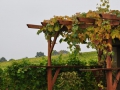ACCCS_2010-10-09_006.jpg
