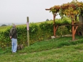ACCCS_2010-10-09_007.jpg
