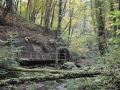 ACCCS_2010-10-09_044.jpg