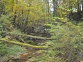 ACCCS_2010-10-09_048.jpg