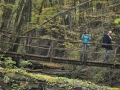 ACCCS_2010-10-09_049.jpg